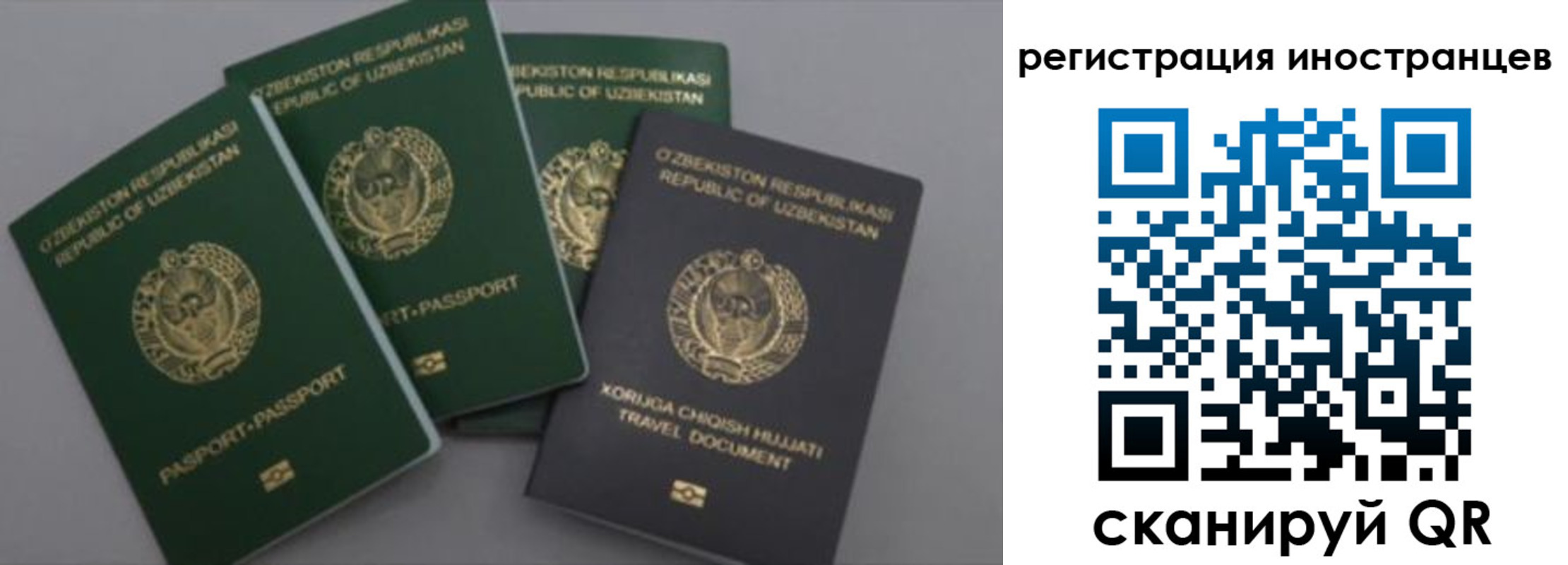 прописка в Тольятти